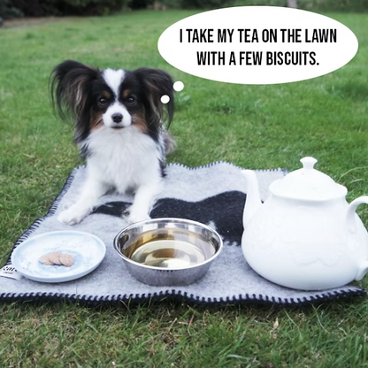 Woof & Brew LapDog Souchong (OFFER)