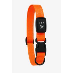 Kowloon PVC Flashing Collar Orange, sml/med