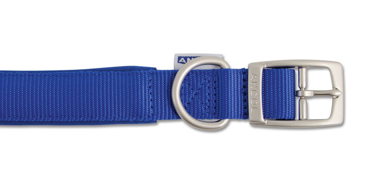 Viva Nylon Padded Buckle Collar Blue 25mm X55-63cm Sz 8