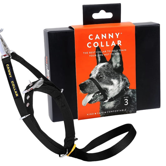 Canny Collar - Black / 23-28cm - Size 1