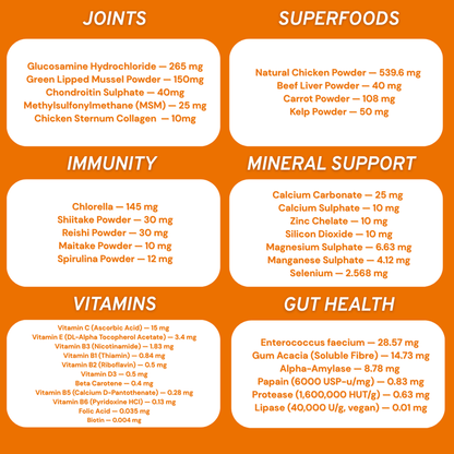 Feline 40 All-in-one natural supplement