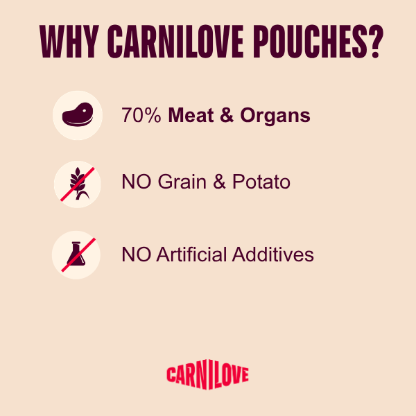 Carnilove Turkey & Venison with Strawberry Leaves Dog 300g