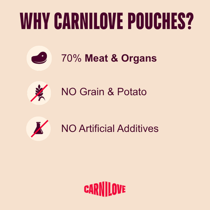 Carnilove Turkey & Venison with Strawberry Leaves Dog 300g