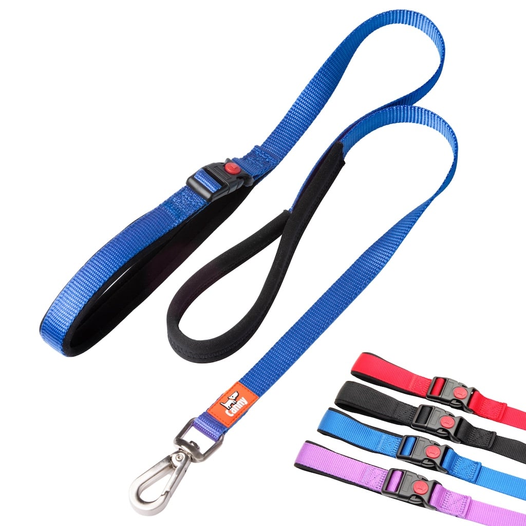 Canny CONNECT Lockable Lead