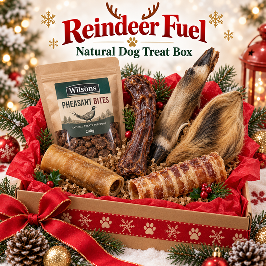Reindeer Fuel Natural Dog Treat Box