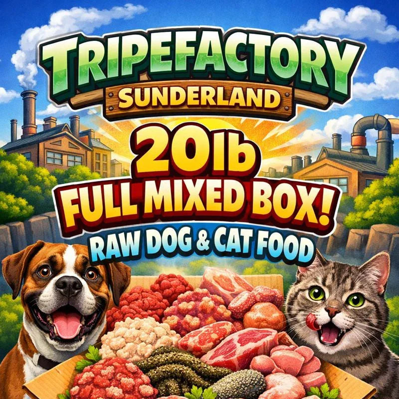 Tripefactory Sunderland - 20lb Full Mixed Box - Raw Dog & Cat Food - Chicken