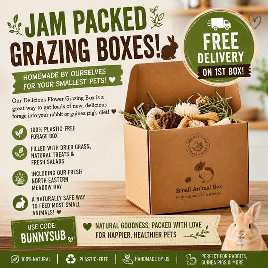 Subscription Grazing Forage Box by Hebburn Bunnies