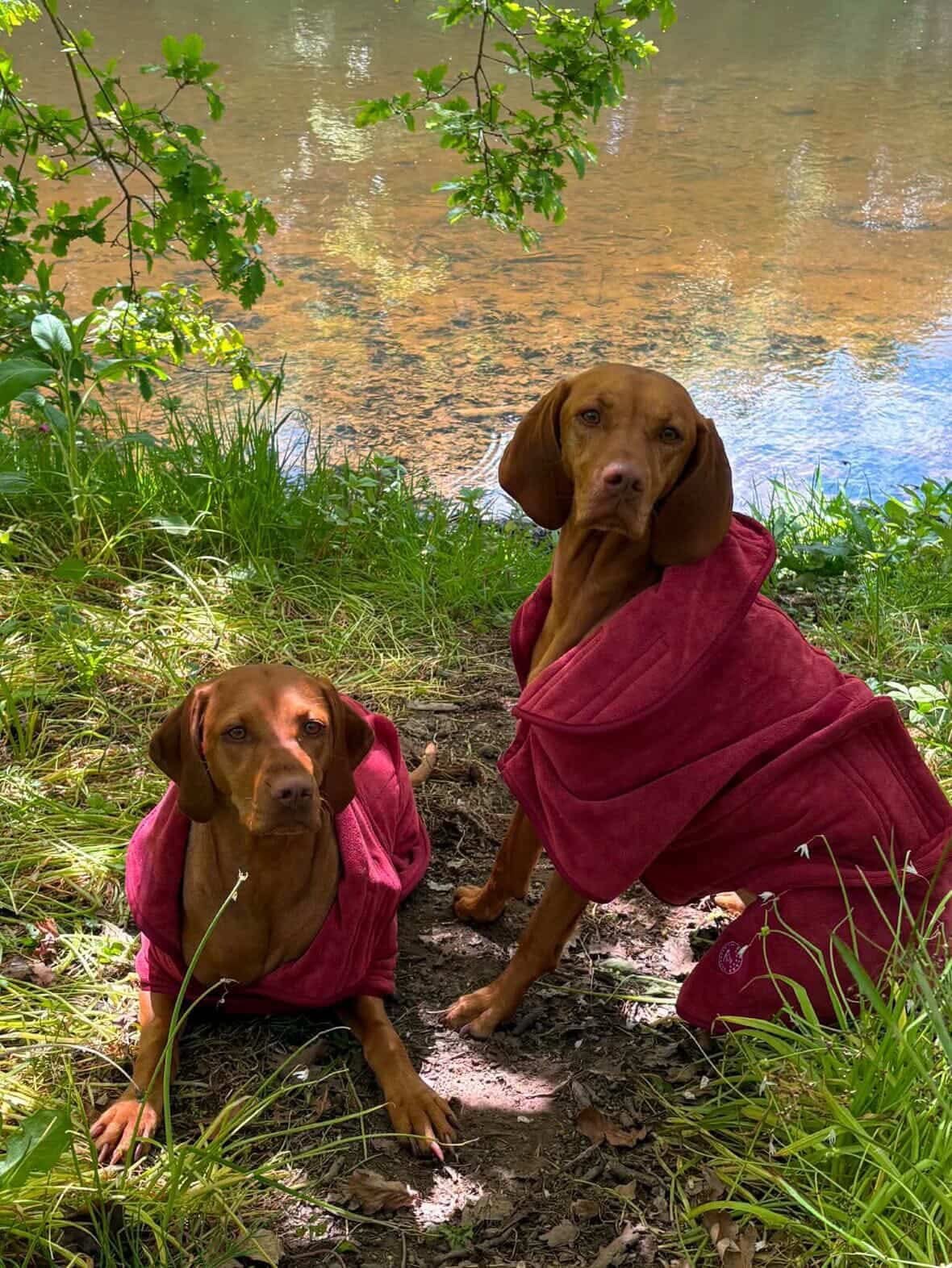 Stellar Luxury Drying Robes for Dogs - MD 35cm / Charcoal