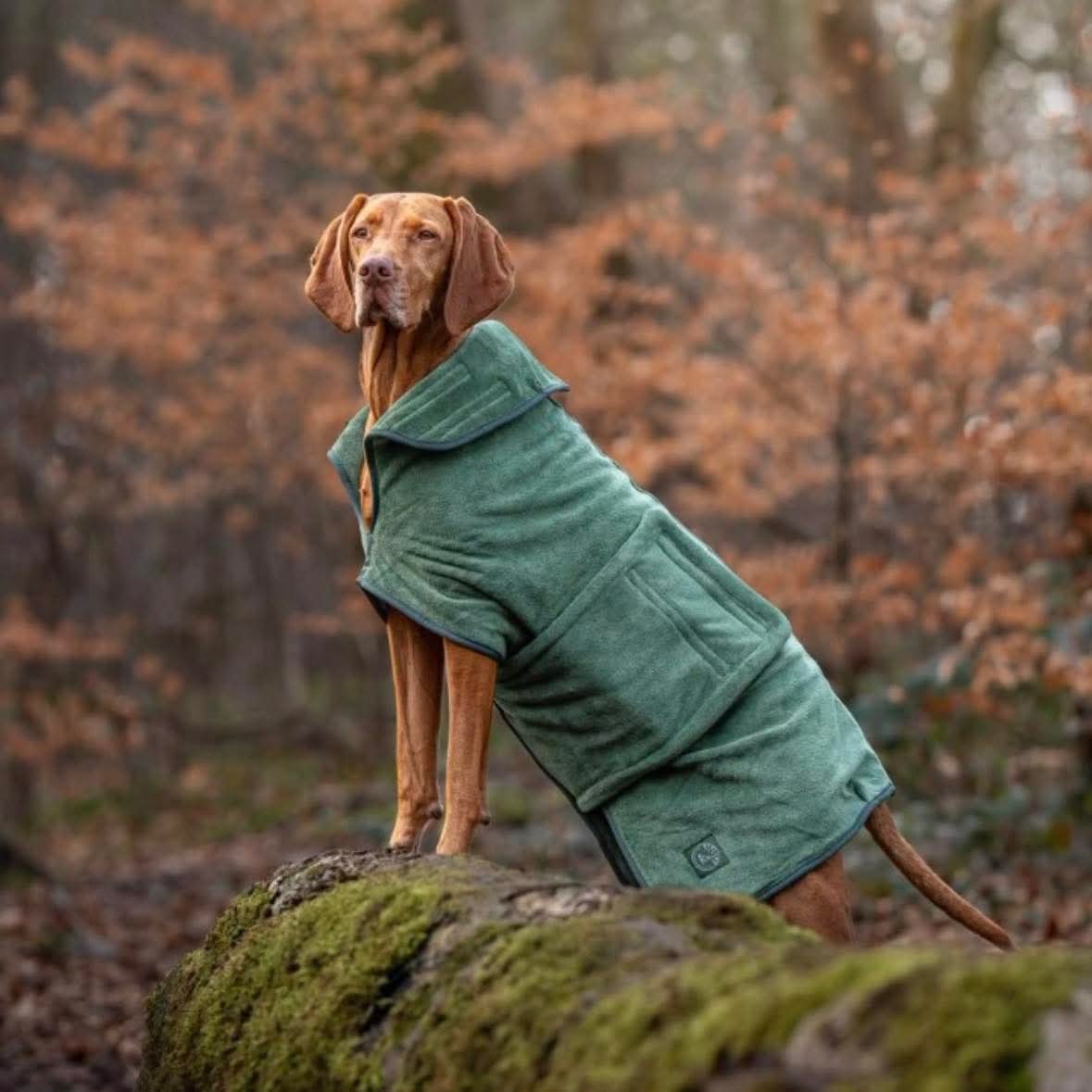 Stellar Luxury Drying Robes for Dogs - MD 35cm / Cerise / Claret