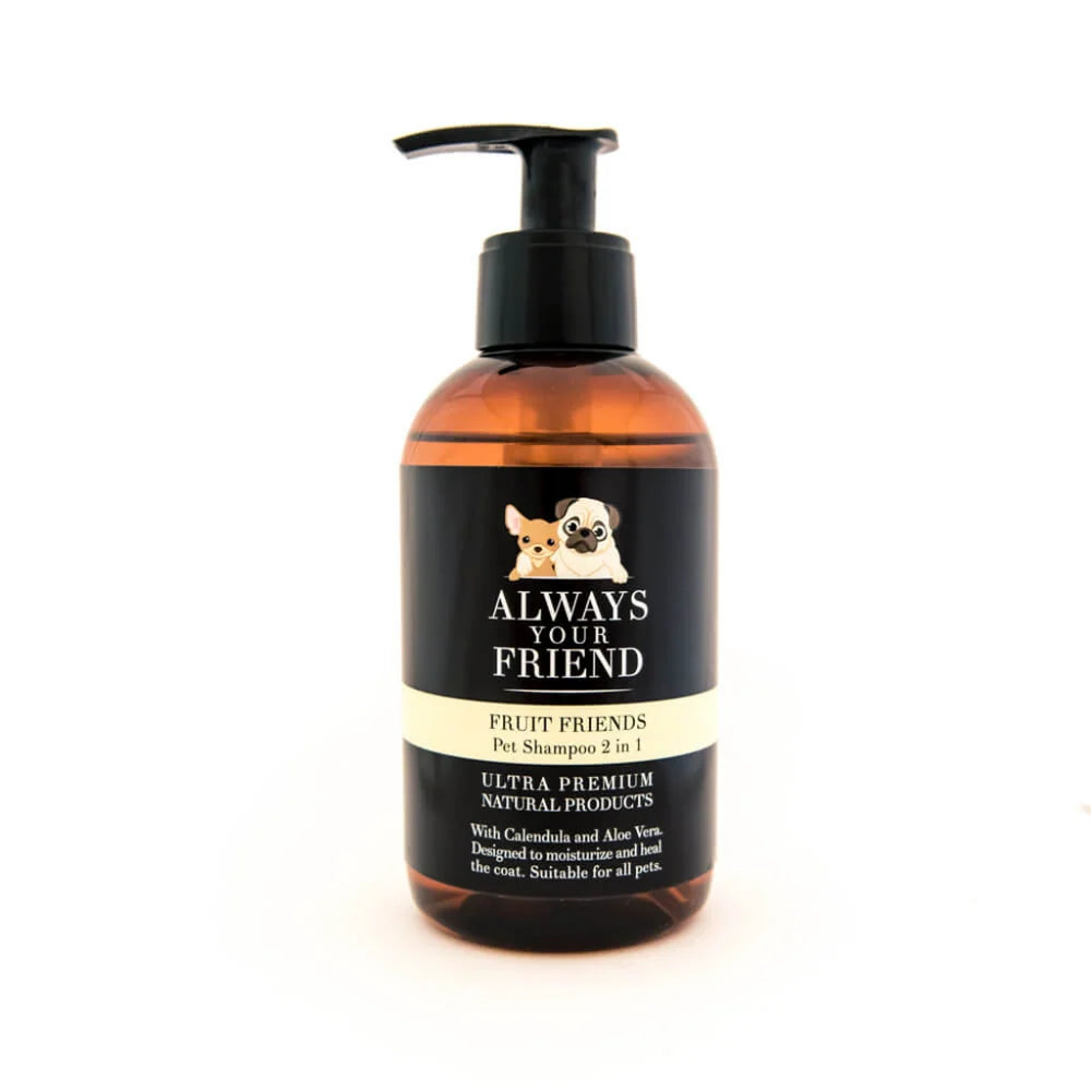 Always Your Friend Fruit Friends – 2-in-1 Shampoo and Conditioner (250ml)