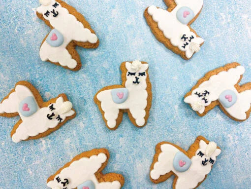 10 Pack – Llama Party - Original Biscuit Bakers