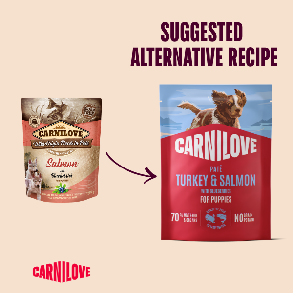 Carnilove Turkey & Salmon with Blueberries Puppy Dog 300G