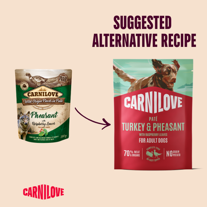 Carnilove Turkey & Pheasant with Raspberry Leaves Dog 300g