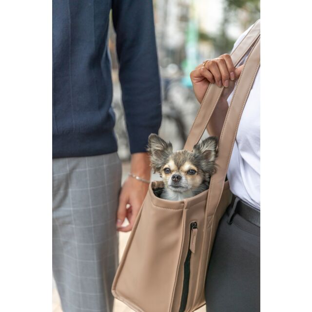 Trixie Carrier CityStyle