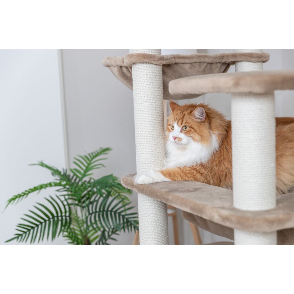 Trixie Cat Tree XXL Brunna – 165 cm, taupe – image 4