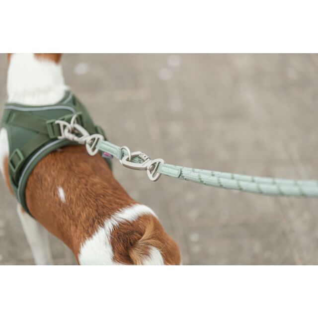 Trixie Summit Reflect Adjustable Lead - Large Extra Large (2m / 13mm) / Sage Olive Green
