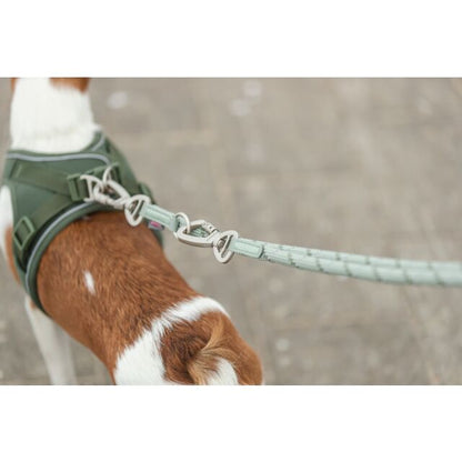 Trixie Summit Reflect Adjustable Lead - Large Extra Large (2m / 13mm) / Sage Olive Green