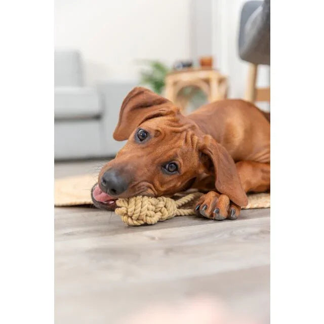Trixie BE NORDIC Playing Rope with Woven-in Ball