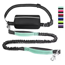 Hands Free Dog Walking Lead - baby-blue