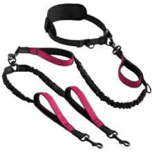 Explosive Double Dog Running Lead - purple