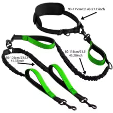 Explosive Double Dog Running Lead - army-green