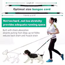 Hands Free Dog Walking Lead - green-2