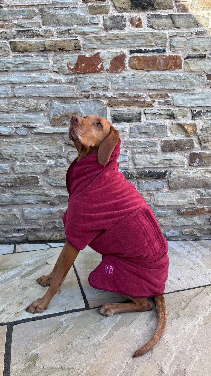 Stellar Luxury Drying Robes for Dogs - MD 43cm / Cobalt