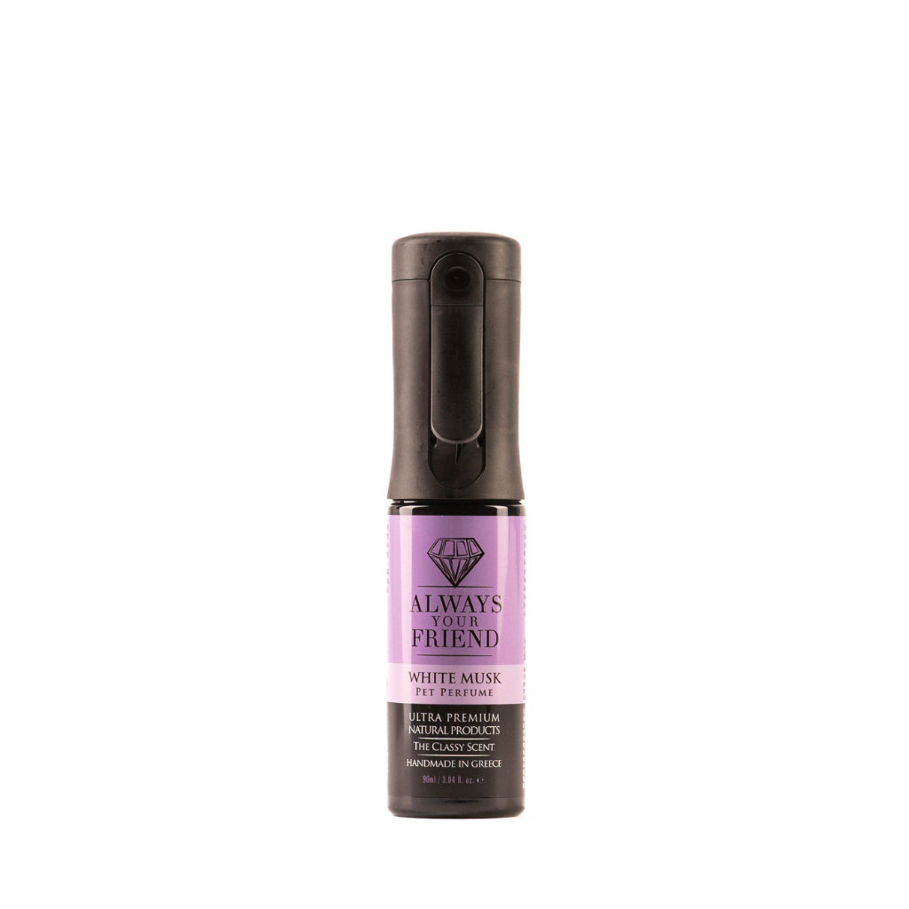 Always Your Friend White Musk – Long-Lasting Perfume Spray (90ml) - North East Pet Shop