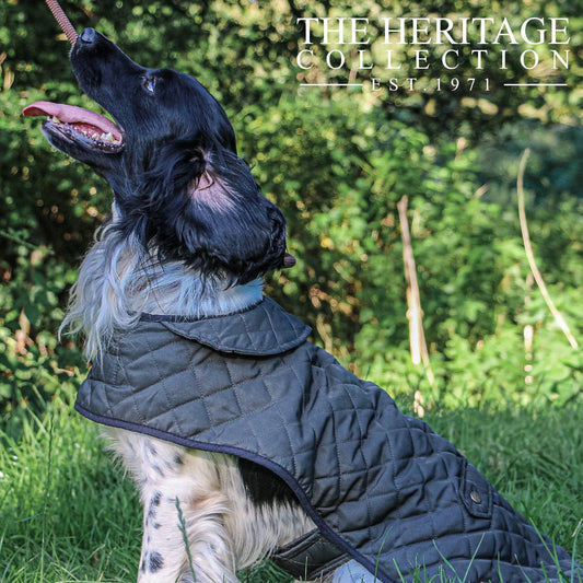 Ancol Heritage Collection Quilted Coat Medium 40cm - North East Pet Shop Ancol