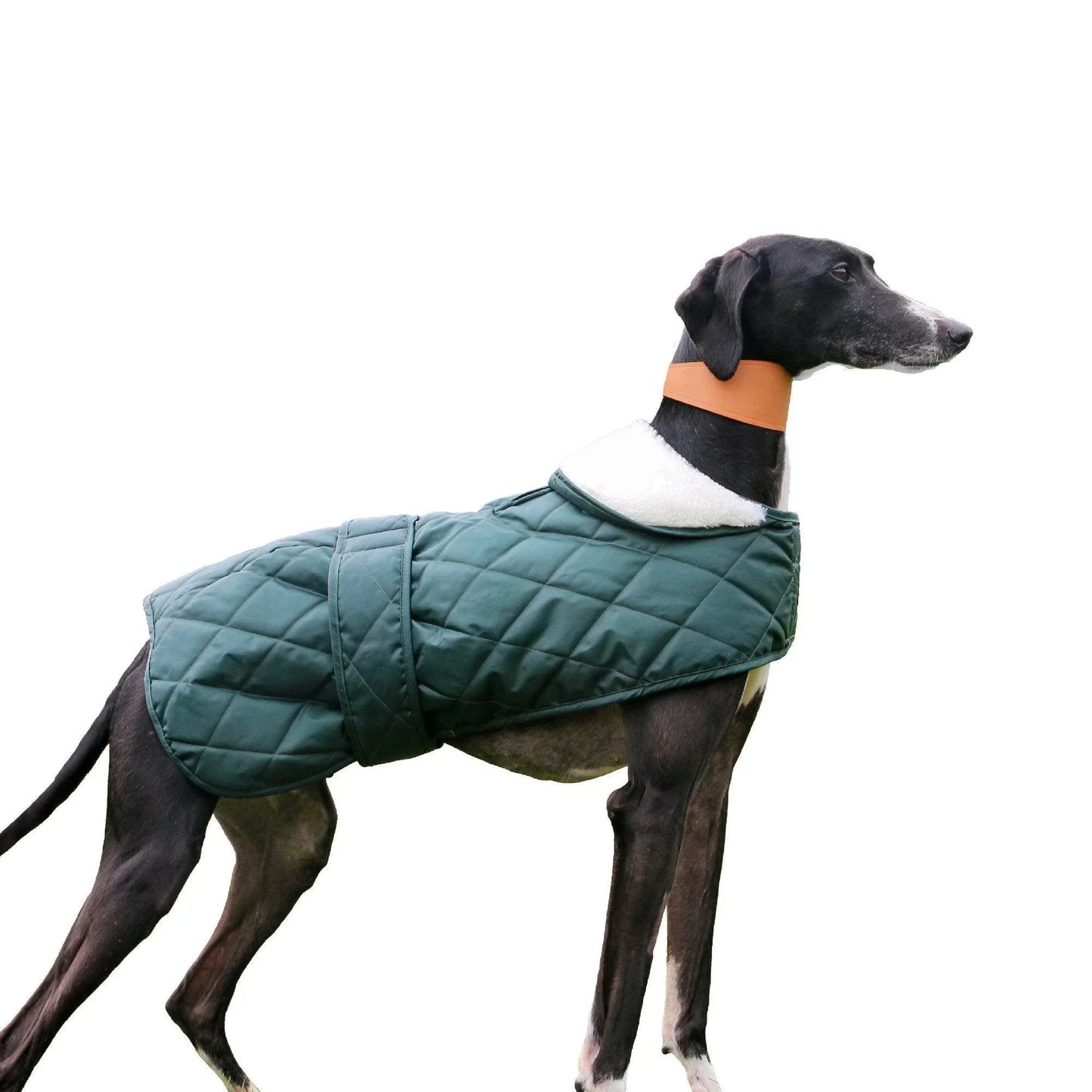 Ancol Muddy Paws Quilted Green Hound Coat Large - North East Pet Shop Ancol