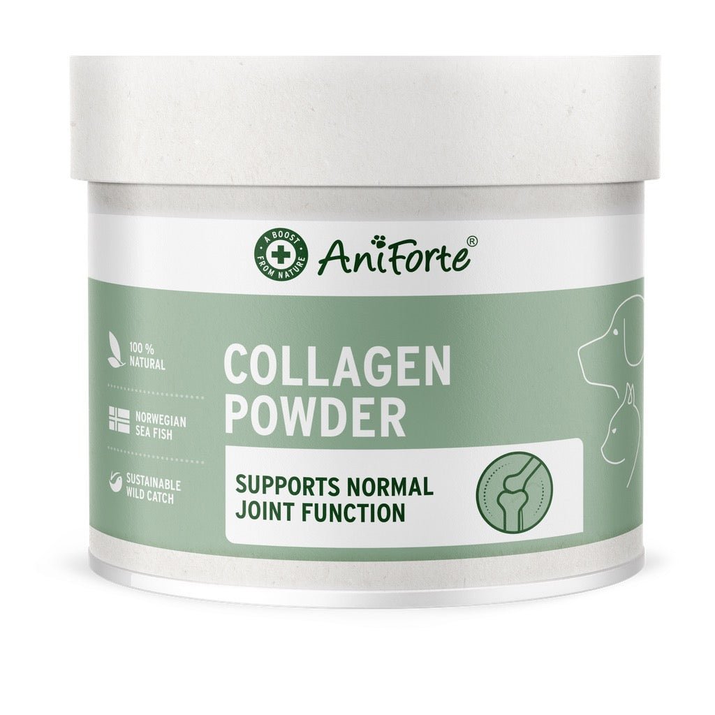 AniForte Collagen Powder 250g