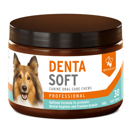 Denta Soft Daily dental chew for dogs