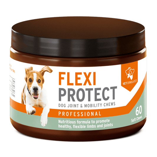 Flexi Protect Complete joint support soft chews for dogs