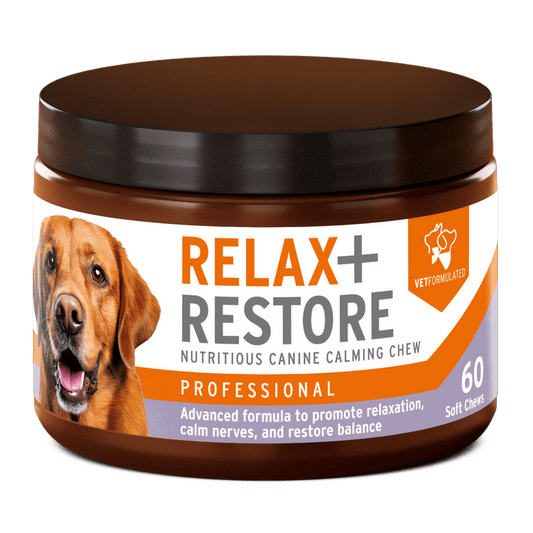 Relax + Restore Natural daily calm for anxious dogs