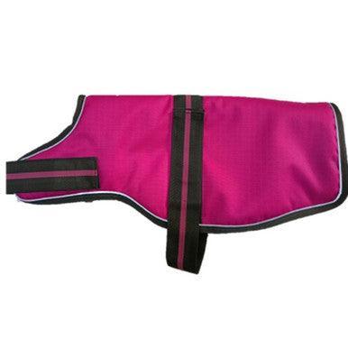 Animate Dachshund Padded Raspberry Dog Coat with adjustable belly strap 15Inch - North East Pet Shop Animate