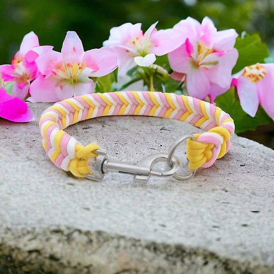 Fruit Salad - Handmade Paracord Dog Collar - Small 9-12" / Nickel / Normal Clasp