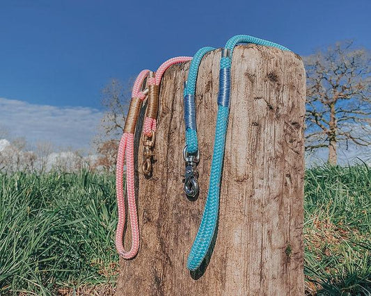Clip Rope Lead - Handmade Paracord Dog Lead - 3ft / Nickel / Yes