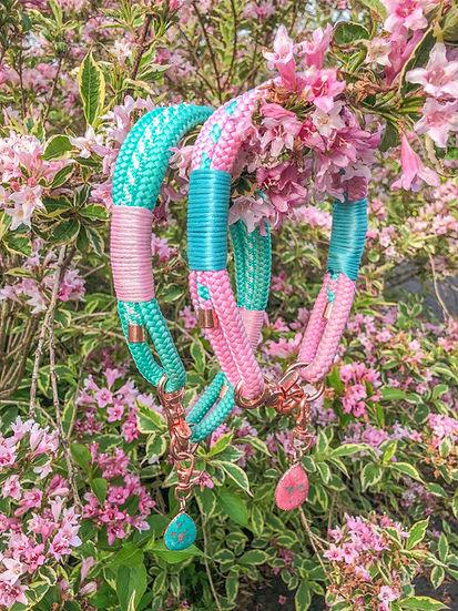 Triple Layer Collar - Handmade Paracord Dog Collar - 12-16" / Nickel / Normal Clasp