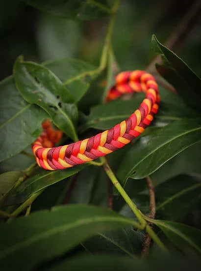 Coppermines Valley Braided - Handmade Paracord Dog Collar. - Small 9-12" / Nickel / Normal Clasp