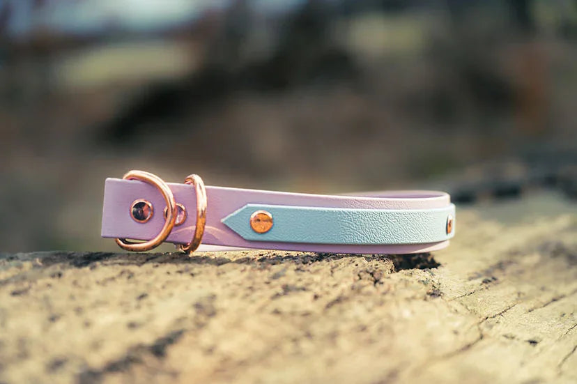 Strip Biothane Collar - Handmade Biothane Dog Collar - 9-12" / Slip with Biothane Strip / Black