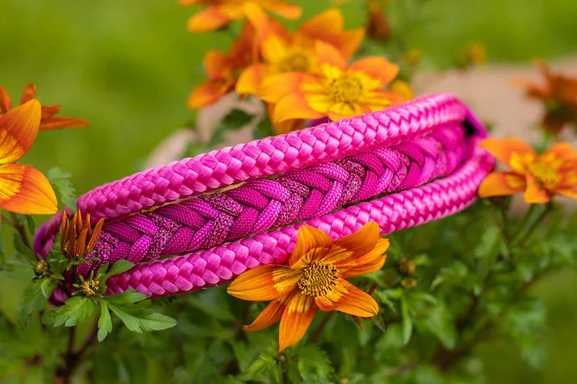Wildflower Walks - Handmade Luxe Dog Collar - 12-16" / Black