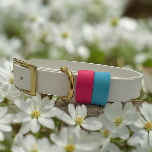Classic Biothane with double keep - Handmade Classic Biothane Dog Collar - Black / 16mm / 9-12"