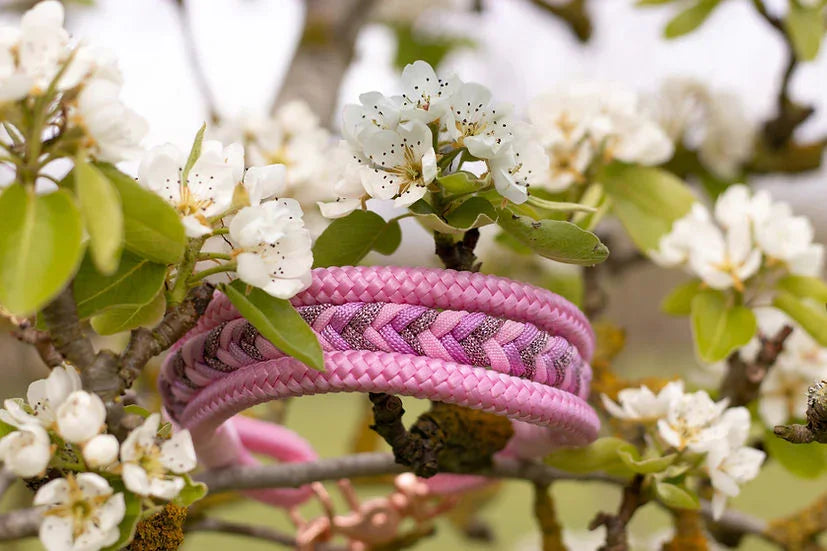 Pink Peony - Handmade Luxe Dog Collar - 12-16" / Black