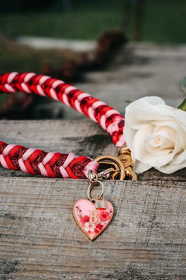 Infinite Braided Collar - Handmade Paracord Dog Collar. - Small 9-12" / Nickel / Normal Clasp