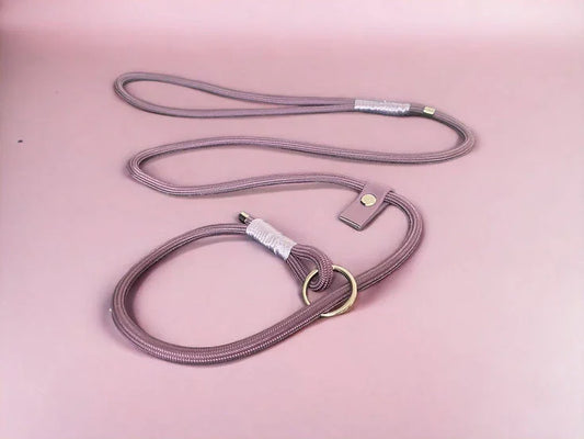 Pink adjustable dog leash with brass ring and snap button on matching pink background