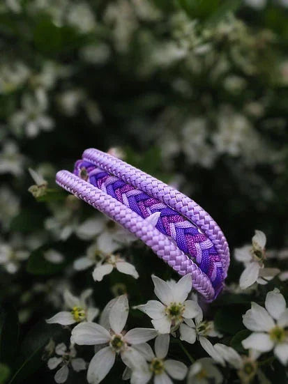 Lavender Haze - Handmade Luxe Dog Collar - 12-16" / Black