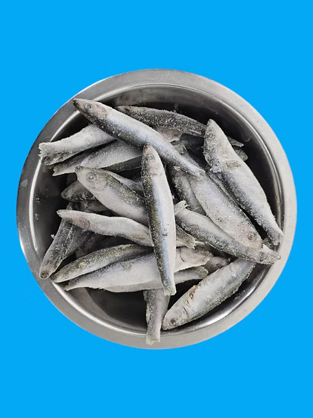Northern Raw Feeds - Frozen Sprats - 1kg