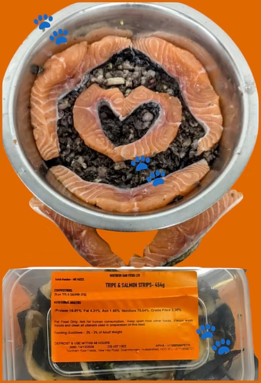 Northern Raw Feeds - Tripe & Salmon Strips - 454g