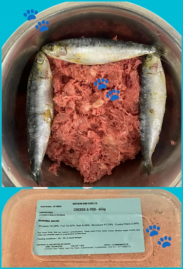 Northern Raw Feeds - Chicken & Fish - 454g