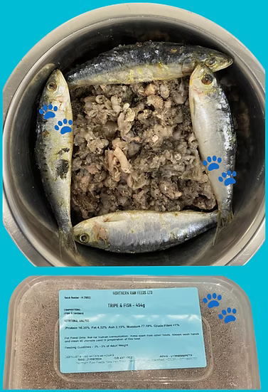 Northern Raw Feeds - Tripe & Fish - 454g